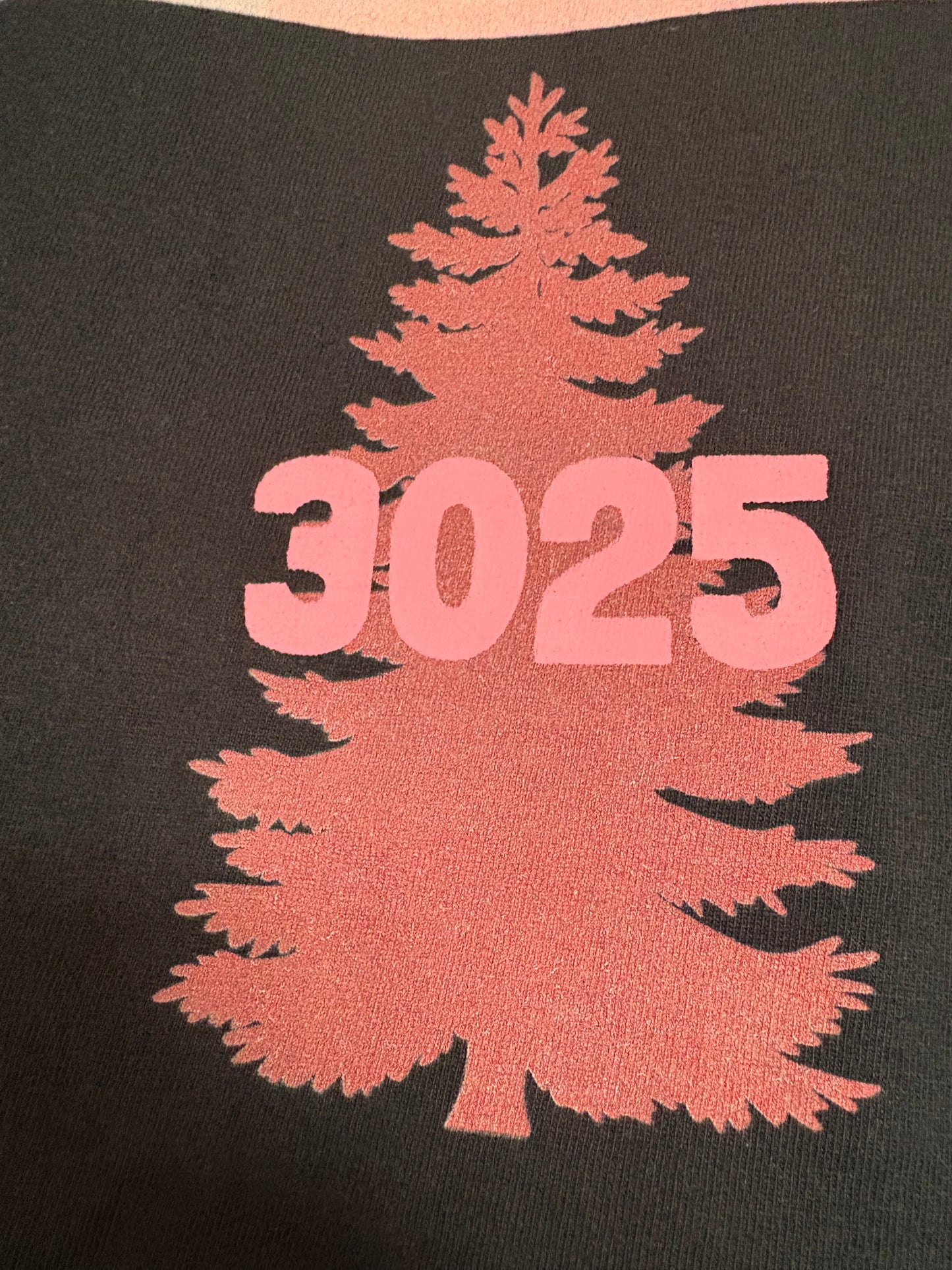3025 VALENTINE'S HEART TEE